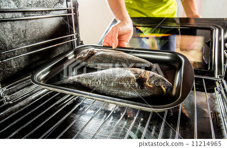 Cooking Dorado fish in the oven. 11214965