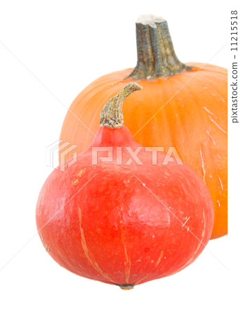 two pumpkins 11215518