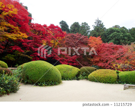 Shishido  - 秋葉 11215729