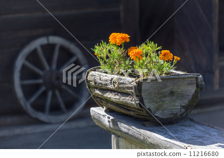 Flowers in the wooden pot Flowers in the wooden pot 11216680