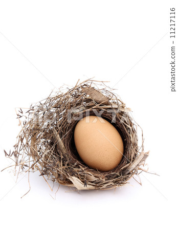 An egg 11217116