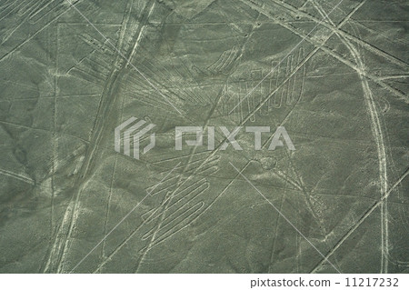 Landscapes of Nazca · Condor 11217232