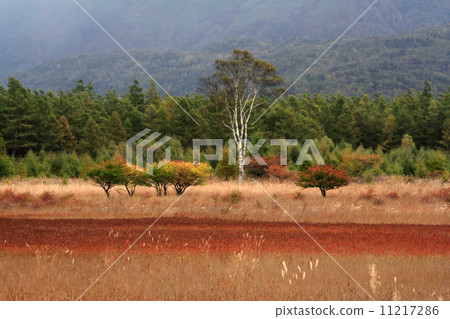 Autumn pattern of Oku-Nikko Autumn pattern of Oku-Nikko 11217286