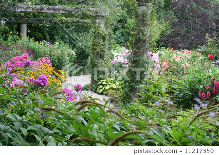 Barracula英國庭院道路 11217350