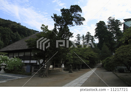 在Jirakuji的初秋 11217721