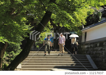 Summer of the period 11217837