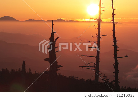 志賀高原的Yoyo 志賀高原的Yoyo 11219033