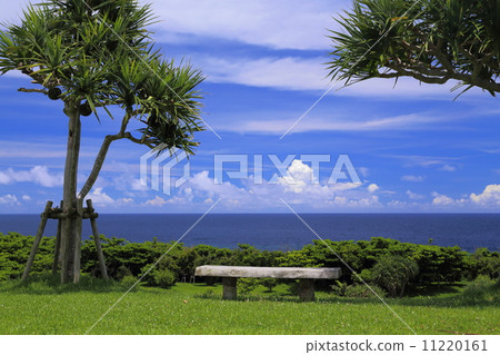 Okinawa's sea and sky Okinawa's sea and sky 11220161