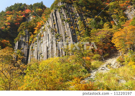 Autumn leaves of Akiyama Township cloth rock 11220197