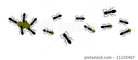 Illustration of a large group of ants carrying food in a procession 11220487