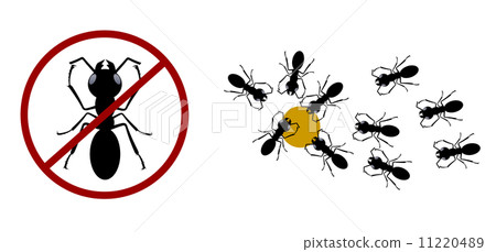 Disinfection 11220489