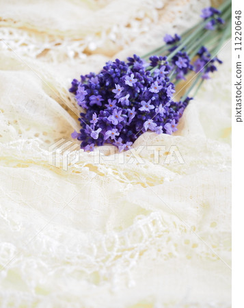 Lace scarf and lavender bouquet 11220648