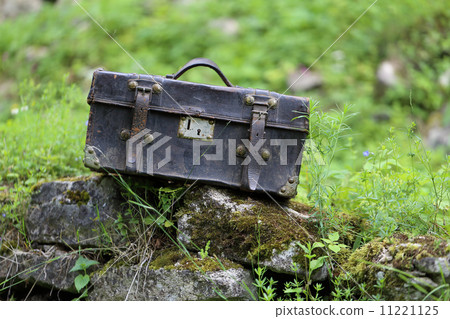 old leather carpetbag 11221125