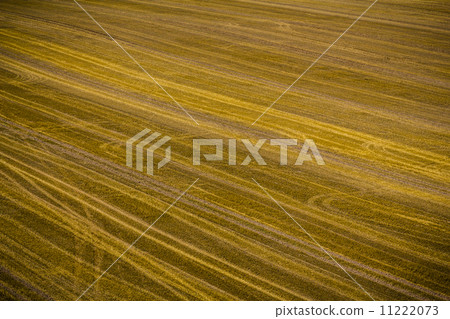 isolated harvested field 11222073