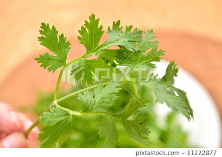 Pakuti (aroma) and stir-fried shrimp with Nampula. Chili sauce included. 11222877
