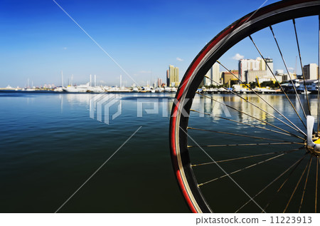 Wheel Spoke 11223913