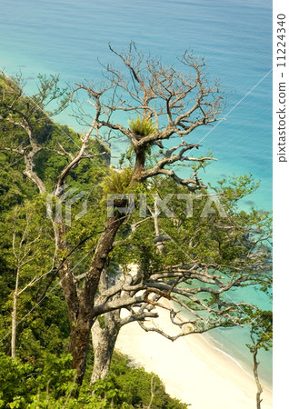 Aurora Beach 11224340