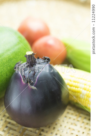 Summer vegetable harvest Summer vegetable harvest 11224990