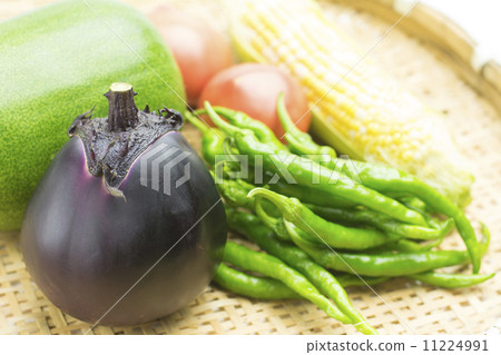 Summer vegetable harvest 11224991
