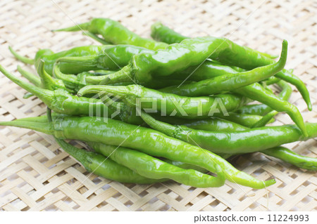 Sweet Fushimi length paddle 11224993