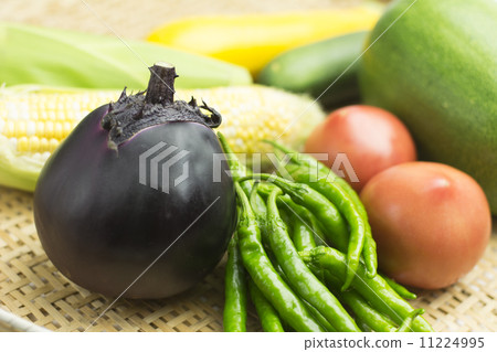 Summer vegetable harvest Summer vegetable harvest 11224995