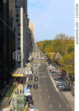 8th Avenue in the autumn leaves period and Central Park 11225016