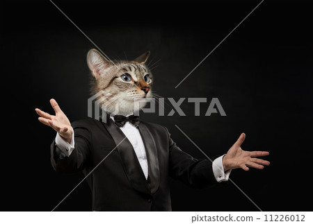 Business man cat head 11226012