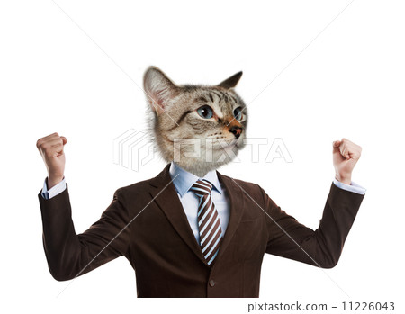 Business man cat head 11226043