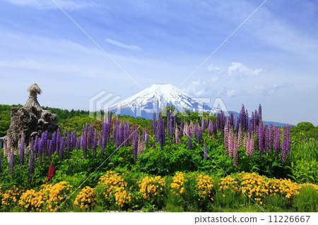 富士山和盧平 富士山和盧平 11226667