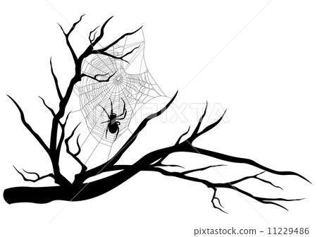 spider web on tree branch - halloween theme black vector silhouette 11229486