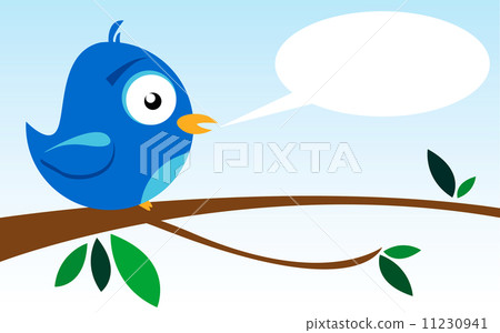 Bird on a Branch 11230941