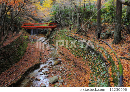 Ohara Sanzenin在深秋 Ohara Sanzenin在深秋 11230996