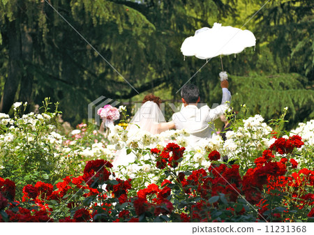 花園婚禮 花園婚禮 11231368