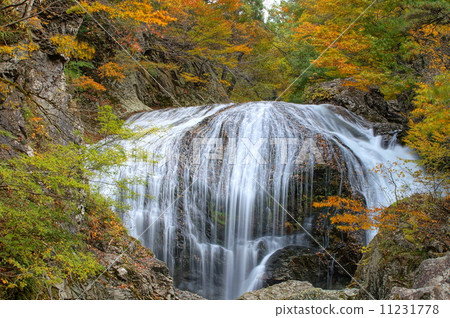 Autumn Sekiyama Otaki (Higashine City, Yamagata Prefecture) 11231778