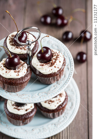 Cupcake Cupcake 11232177