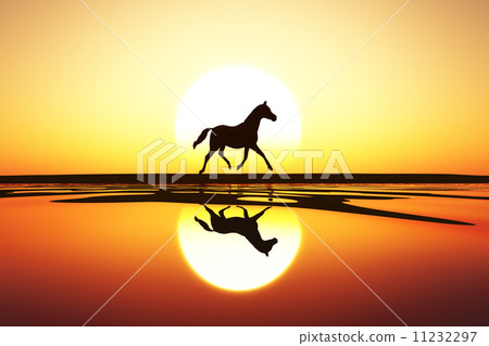horse walk silhouette 11232297