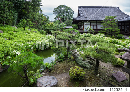 Hansee show 11232344