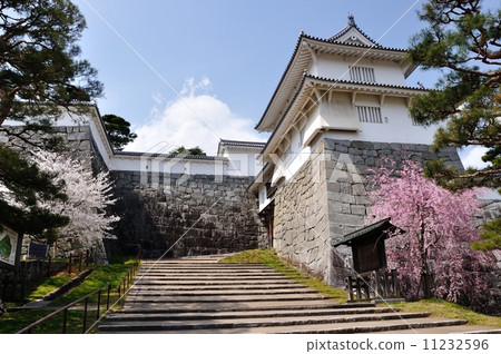 春天日本松城堡 春天日本松城堡 11232596
