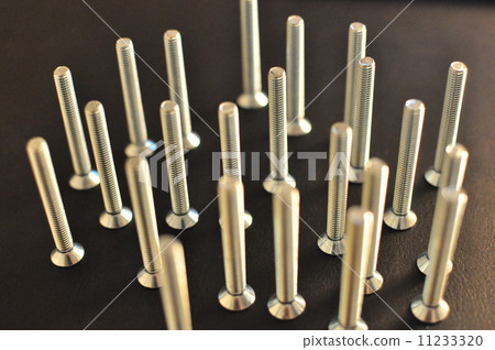 bolt 11233320