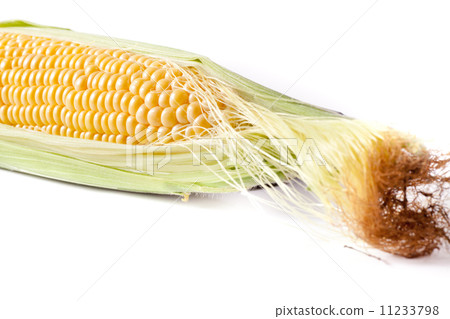 Corn Corn 11233798