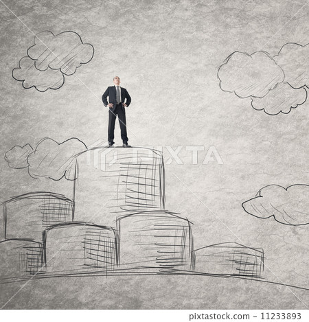 Successful Asian businessman Successful Asian businessman 11233893