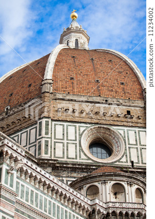 Florence Florence 11234002