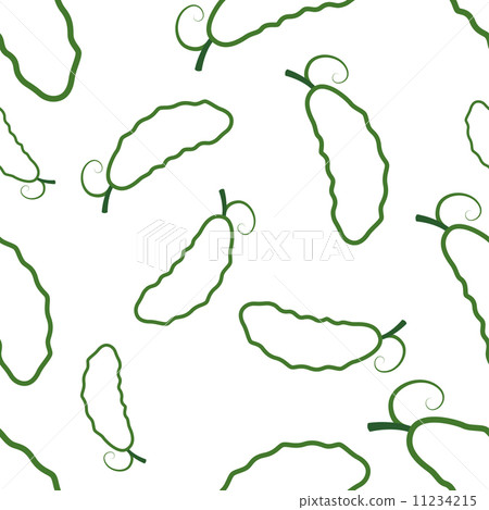 Pattern Circuit Cucumber 11234215