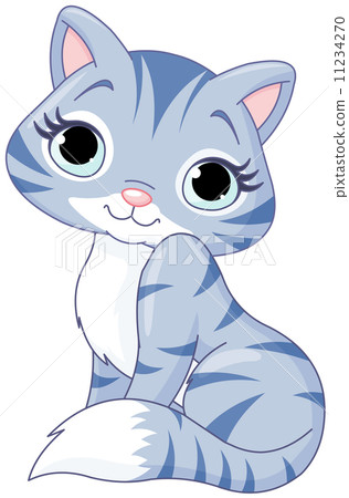 Cute kitten Cute kitten 11234270