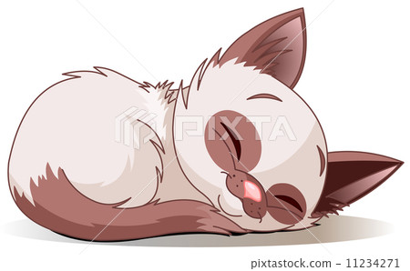 Sleeping kitten 11234271