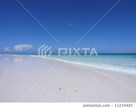 海 海 11234485
