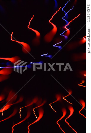 煙花（特別拍攝） 11234578