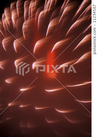 Fireworks (special shooting) 11234587