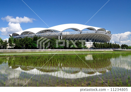 Spring's big swan 11234805