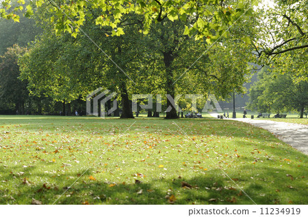 早上綠園 11234919